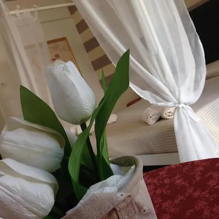 Appartamento Nido Center Iv