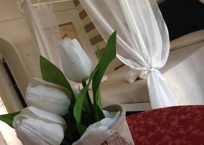 Apartman Nido Center Iv